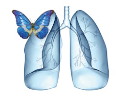 1108 Cover1 1108 Cover1