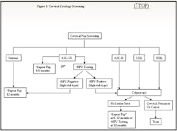 Special Figure1 Special Figure1