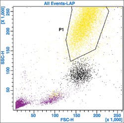 1109pathology Fig1 1109pathology Fig1