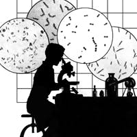 Mlo1102 Labman Microscope Mlo1102 Labman Microscope