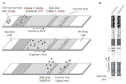 Clinical Issues Figure A And B 788x531 Clinical Issues Figure A And B 788x531
