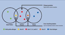 Image20015 Opt Image20015 Opt