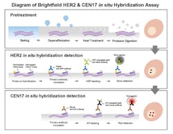 Clinical Isseus Figure 1 Pptx Clinical Isseus Figure 1 Pptx