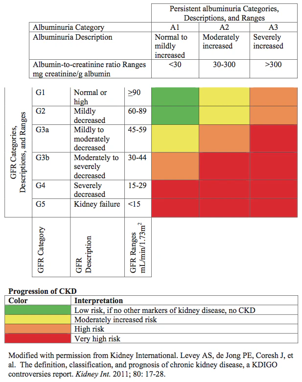 Ckd Classify New guidelines to evaluate and manage chronic kidney disease | Medical ...