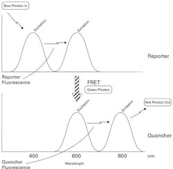 The Primer Fig1 The Primer Fig1