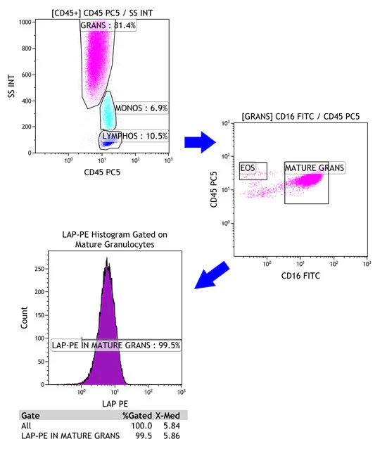 Leukocyte alkaline phosphatase (LAP) by flow cytometry | Medical Laboratory Observer Leukocyte alkaline phosphatase (LAP) by flow cytometry | Medical Laboratory Observer