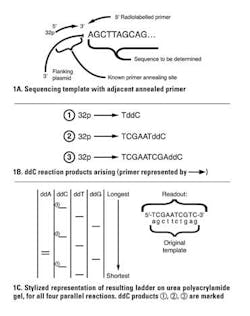Mlo201310 Primer Figure 1 Mlo201310 Primer Figure 1