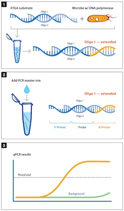 Special Feature Zeus Figure 1 Special Feature Zeus Figure 1