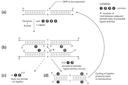 Primer Figure 1 Primer Figure 1