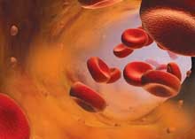 L03 Art Product Focus Biorad 150 L03 Art Product Focus Biorad 150