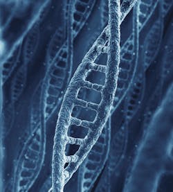 Sel14 Helix Small Sel14 Helix Small