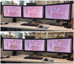 Data Color Figure 2 Data Color Figure 2