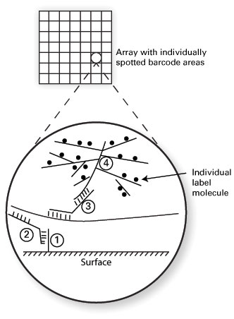 Primer 3 10 Fig 1 Sketch