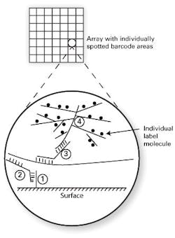Primer 3 10 Fig 1 Sketch Primer 3 10 Fig 1 Sketch