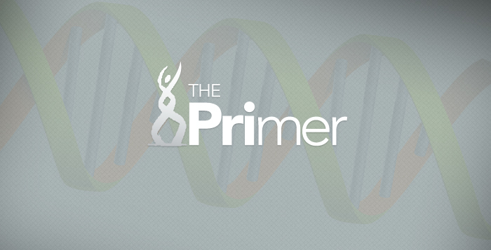 MLO_Generic_ThePrimer