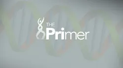 MLO_Generic_ThePrimer