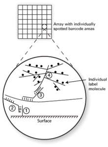 Primer 3 10 Fig 1 Sketch 220x300 Primer 3 10 Fig 1 Sketch 220x300