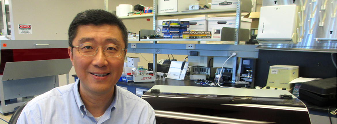 Slide4 Image Executive Snapshot