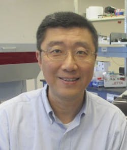 Yixin Wang V2 253x300 Yixin Wang V2 253x300