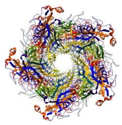 Ce January Ce January