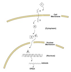 Mlo201604 Primer Fig4 5001 Mlo201604 Primer Fig4 5001