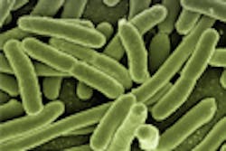 Mag Article Bacteria3 Mag Article Bacteria3