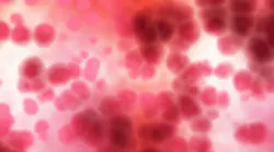 magarticle_blood2