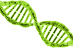 Mag Article Dna2 Mag Article Dna2