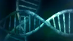magarticle_dna4