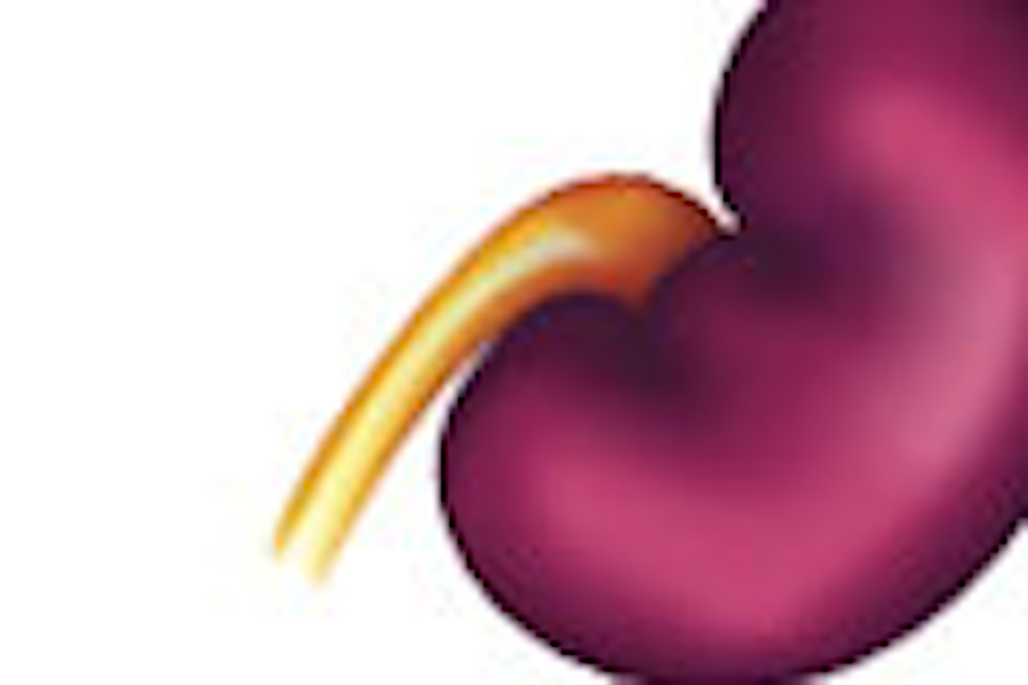 Albumin-to-creatinine ratio: assessing kidney function highlights the