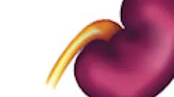 magarticle_kidney