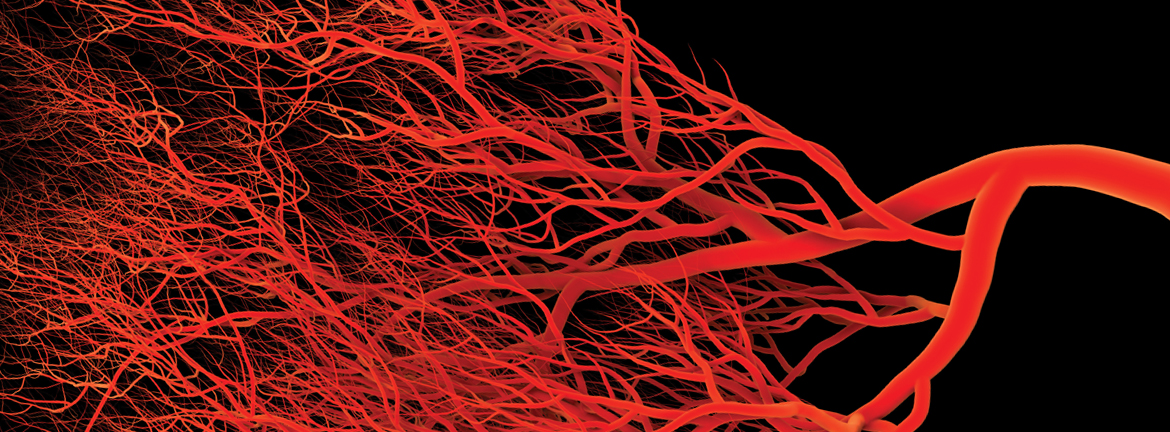 Slider1 Image Continuing Ed 1016