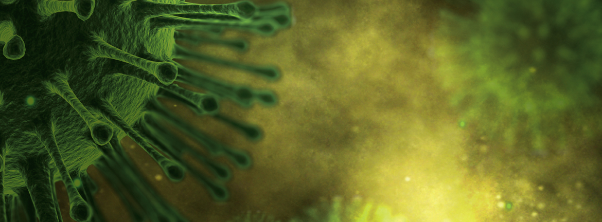 Slider1 Image Continuinged 1116