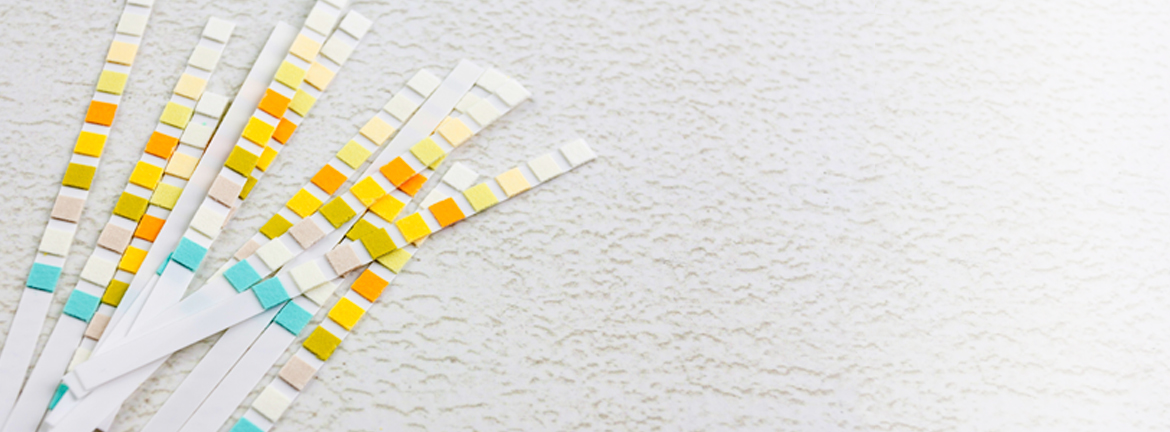 Slider1 Image Continuinged 1216