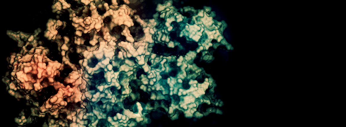 Molecular Diagnostics Cancer &ldquo;signature&rdquo; is a first step toward a blood test for lung cancer patients. A discovery by Australia-based researchers could help to identify patients with a particularly aggressive type of lung cancer who are likely to respond to immunotherapies currently used to treat other cancers. Their research also revealed a unique molecular signature in the blood that could, in the future, be used to detect these aggressive lung cancers with a simple blood test. Walter and Eliza Hall Institute cancer researchers Dr. Sarah Best and Dr. Kate Sutherland led the research, working with colleagues at Metabolomics Australia at the Bio21 Institute, University of Melbourne. The study was published in Cell Metabolism. The study focused on the role of two cell signaling pathways&mdash;KEAP1/NRF2 and PI3K&mdash;which are known to be involved in adenocarcinomas. &ldquo;More than one in five lung adenocarcinomas have alterations in the KEAP1/NRF2 pathway, suggesting it is a major cancer driver,&rdquo; Sutherland says.&ldquo; These cancers are very aggressive, are resistant to standard therapies, and have a poor prognosis, so new therapies are urgently needed.&rdquo; Best says that the study revealed that the tumors had characteristics indicating they were likely to respond well to immunotherapy: &ldquo;Using preclinical models, we showed for the first time that these tumors have the &lsquo;markers&rsquo; that respond to anti-PD-1 and anti-CTLA-4 immunotherapies, which are some of the most exciting new cancer therapies being investigated in the clinic. &ldquo;But more importantly, we showed that these immunotherapies were effective in fighting the tumors and leading to tumor regression in our preclinical models.&rdquo; Best says the research showed that non-stop signaling caused by mutations in the KEAP1/NRF2 and PI3K pathways caused lung adenocarcinomas to develop. &ldquo;This is the first time anyone has shown that these alterations directly cause lung adenocarcinomas. With this knowledge, we can further investigate how targeting those pathways could lead to therapies for these aggressive and hard-to-treat cancers,&rdquo; she adds. Sutherland says the unique molecular signatures found in the blood could be a tool to identify patients who would respond to immunotherapies, or even as the basis of an early detection test for those cancers. Oncology Blood cancer precursor is found in 9/11 firefighters. A study published in JAMA Oncology reports that New York City firefighters exposed to the 9/11 World Trade Center disaster site face an increased risk for developing MGUS (monoclonal gammopathy of undetermined significance), which can lead to the blood cancer multiple myeloma. The study was conducted by researchers at Albert Einstein College of Medicine, Montefiore Health System, the Fire Department of the City of New York (FDNY), and Memorial Sloan Kettering Cancer Center. In MGUS, the blood&rsquo;s plasma cells produce an abnormal protein called monoclonal protein that can be detected with blood tests. MGUS generally causes no problems but can progress to multiple myeloma, a blood cancer diagnosed in about 30,000 Americans each year. In multiple myeloma, rapidly proliferating plasma cells can crowd out the bone marrow&rsquo;s normal blood-forming cells, leading to problems including anemia (shortage of red cells) and leukopenia (shortage of white cells). Most multiple myeloma cases are diagnosed in people older than 65. Previous studies suggest that MGUS and multiple myeloma tend to develop after exposure to toxic chemicals. The aerosolized dust from the collapsed towers exposed FDNY and other first responders to unprecedented levels of polychlorinated biphenyls, polycyclic aromatic hydrocarbons, dioxins, asbestos, and other potential carcinogens, as well as diesel smoke from heavy machinery used in the 10-month rescue-and-recovery effort. The study population was limited to 781 white, male WTC-exposed firefighters aged 50 to 79 whose blood samples were evaluated to assess the prevalence of MGUS in the group. When results were compared with MGUS prevalence in a non-exposed comparison group, the prevalence of MGUS in the firefighters was nearly twice as high (7.63 cases of MGUS per 100 firefighters vs. 4.34 cases per 100 non-exposed persons). In a separate analysis, the researchers examined the 16 cases of multiple myeloma diagnosed between September 12, 2001, and July 1, 2017, among all white, male WTC-exposed FDNY firefighters. Their average age of diagnosis was 57, or 12 years younger than the average age for multiple myeloma diagnosis nationally. Chemistry Stanford scientists find possible autism biomarker in cerebrospinal fluid. Autism diagnosis is slow and cumbersome, but new findings linking the hormone vasopressin to social behavior in monkeys and autism in people may change that. Low vasopressin in cerebrospinal fluid was related to less sociability in both species, indicating the hormone may be a biomarker for autism. A paper describing the research, which was led by scientists at the Stanford University School of Medicine and the University of California-Davis, will be published in Science Translational Medicine. Autism, a developmental disorder characterized by impaired social abilities, affects 1 in 68 U.S. children. Research has shown that early, intensive behavioral treatment is beneficial. Yet many children don&rsquo;t receive a timely diagnosis. A biological test, with a specific lab measurement indicating autism, could make diagnosis faster. The current researchers looked for autism biomarkers in rhesus monkeys, a species whose social capabilities are reasonably comparable to those of humans. From 222 male animals, the scientists selected 15 with naturally low sociability and compared them with 15 monkeys with naturally high sociability on several biological parameters. The scientists measured levels of two hormones, oxytocin and vasopressin, in the monkeys&rsquo; blood and in their cerebrospinal fluid, which bathes the brain. Both hormones are peptides implicated in a variety of social roles, including parental care and bonds between mates. Some prior studies have hinted that these hormones may also be involved in autism. Monkeys in the less social group had significantly less vasopressin in their cerebrospinal fluid than monkeys in the more social group. These vasopressin levels accurately predicted the frequency with which individual monkeys participated in social grooming, an important social activity for rhesus monkeys. Vasopressin blood levels were not different between the two groups. In a group of 10 monkeys, whose cerebrospinal fluid was sampled four times over four months, the scientists showed that vasopressin levels in the fluid were stable over time. The researchers also compared vasopressin levels in cerebrospinal fluid of 14 boys with autism and seven age-matched children without autism. Children with autism had lower vasopressin levels than children without autism, the study found. Hematology Blood type O patients may have higher risk of death from severe trauma. Blood type O is associated with high death rates in severe trauma patients, according to a study published in the open access journal Critical Care. The study involved 901 Japanese emergency care patients with severe trauma who were transported to either of two tertiary emergency critical care medical centers in Japan during 2013 to 2016. Researchers at Tokyo Medical and Dental University Hospital found that severe trauma patients (those with an injury that has the potential to cause long-term disability or death) with blood type O had a death rate of 28 percent, compared to 11 percent in patients with other blood types. Dr. Wataru Takayama, the corresponding author, says: &ldquo;Recent studies suggest that blood type O could be a potential risk factor for hemorrhage. Loss of blood is the leading cause of death in patients with severe trauma, but studies on the association between different blood types and the risk of trauma death have been scarce. We wanted to test the hypothesis that trauma survival is affected by differences in blood types.&rdquo; Patients with blood type O have been shown to have lower levels of von Willebrand factor (vWF), a blood clotting agent, than those with other blood types. Lower levels of vWF may be linked to higher levels of hemorrhage. The authors suggest that a lower level of vWF may explain the higher death rate in trauma patients with blood type O. Takayama says that the results also raise questions about how emergency transfusion of O type red blood cells to a severe trauma patient could affect homeostasis and whether type O is different from other blood types in that regard. The authors caution that all the patients whose data was analyzed in this study were Japanese and that therefore there is a need for further research to understand whether the findings apply to other ethnic groups. Additionally, there was no evaluation of the impact of the individual blood types A, AB, or B, on severe trauma death rates. Instead, the authors compared type O to non-O blood type, which may have diluted the effect of individual blood types on patient survival. Infectious Diseases New Lyme disease tests could offer quicker, more accurate detection. New tests to detect early Lyme disease&mdash;which has been increasing beyond the summer months&mdash;could replace existing tests that often do not clearly identify the infection before health problems occur. In an analysis published in Clinical Infectious Diseases, scientists from Rutgers University, Harvard University, Yale University, the National Institute of Allergy and Infectious Diseases of the National Institutes of Health, and other academic centers, industry, and public health agencies say that new diagnostic methods offer a better chance for more accurate detection of infection from the Lyme bacteria. Lyme disease is the most common tick-borne infection in North America and Europe. There are currently more than 300,000 cases of Lyme disease annually in the United States alone, and the disease is increasing and spreading into new regions. Lyme disease frequently, but not always, presents with a bull&rsquo;s-eye rash. When the rash is absent, a laboratory test is needed. The only FDA-approved Lyme disease tests, based on technology developed more than two decades ago, rely on detecting antibodies that the body&rsquo;s immune system makes in response to the disease. These antibody-based tests are the most commonly used tests for Lyme disease and are the current standard. One problem, however, is that many people produce similar&mdash;called &ldquo;cross-reactive&rdquo;&mdash;antibodies in response to other bacteria not associated with Lyme disease. This can reduce assay specificity. Researchers say more specific testing would help doctors decide when to prescribe the antibiotics used to clear the infection and help patients avoid severe, long-term health problems.