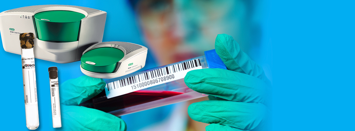 Slider2 Image Products 0217