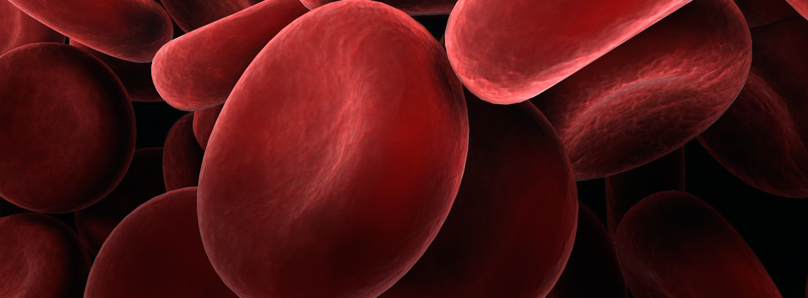 Slider1 Image Continuinged 0417