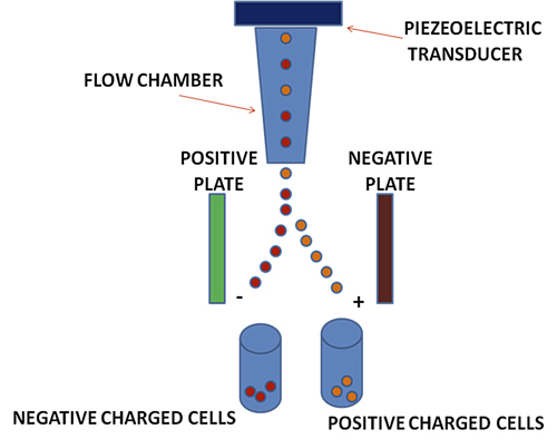 Mlo201705 Clinical Issues Art