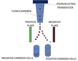 Mlo201705 Clinical Issues Art Mlo201705 Clinical Issues Art