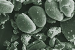 Mag Article Pollen Mag Article Pollen