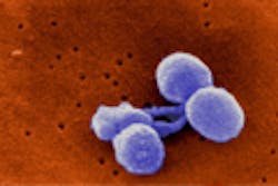 Mag Article Streptococcuspneumoniae Mag Article Streptococcuspneumoniae