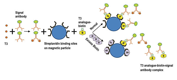 Mlo201707 Spec Feature Tosoh Fig4