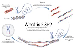 Mlo201709 Future Buzz Fig1 Mlo201709 Future Buzz Fig1