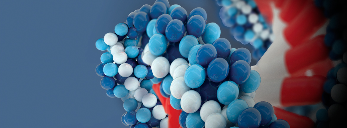 Slider1 Image Continuinged 0917