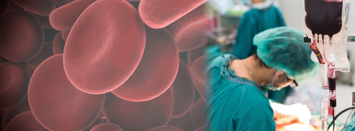 Slider1 Image C Estory 1017