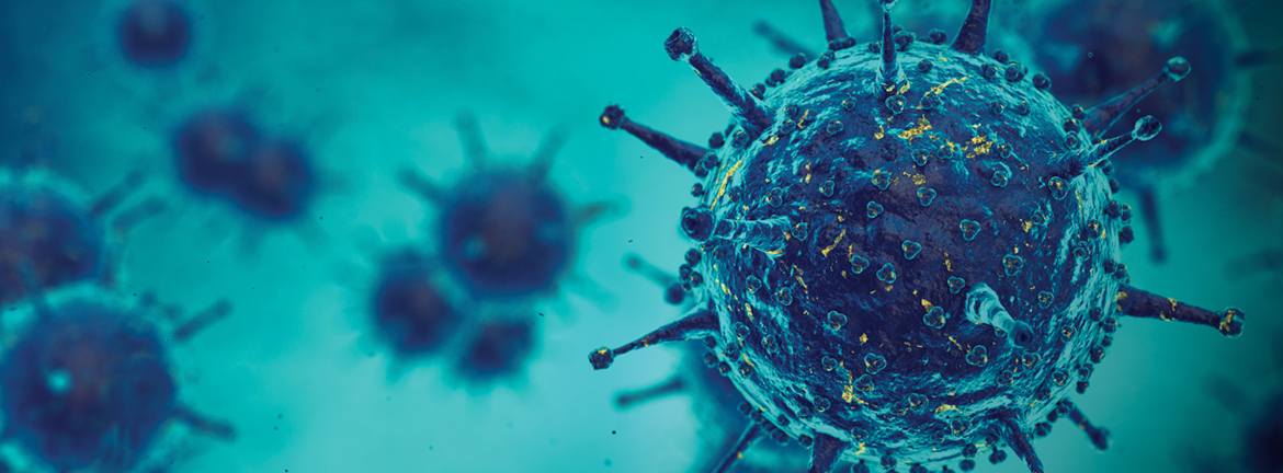 Slider1 Image Ce 1117