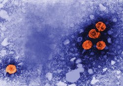 Mlo201712 Clin Issues Abbott Art2 Mlo201712 Clin Issues Abbott Art2