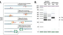 Mlo201801 Education Fig 1 A 1 B