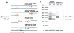 Mlo201801 Education Fig 1 A 1 B Mlo201801 Education Fig 1 A 1 B