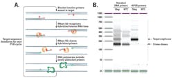 Mlo201801 Education Fig 1 A 1 B Mlo201801 Education Fig 1 A 1 B